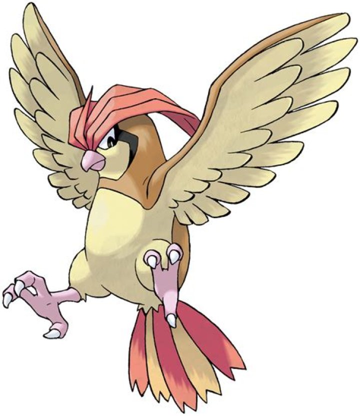 Pokemon - Pidgeotto