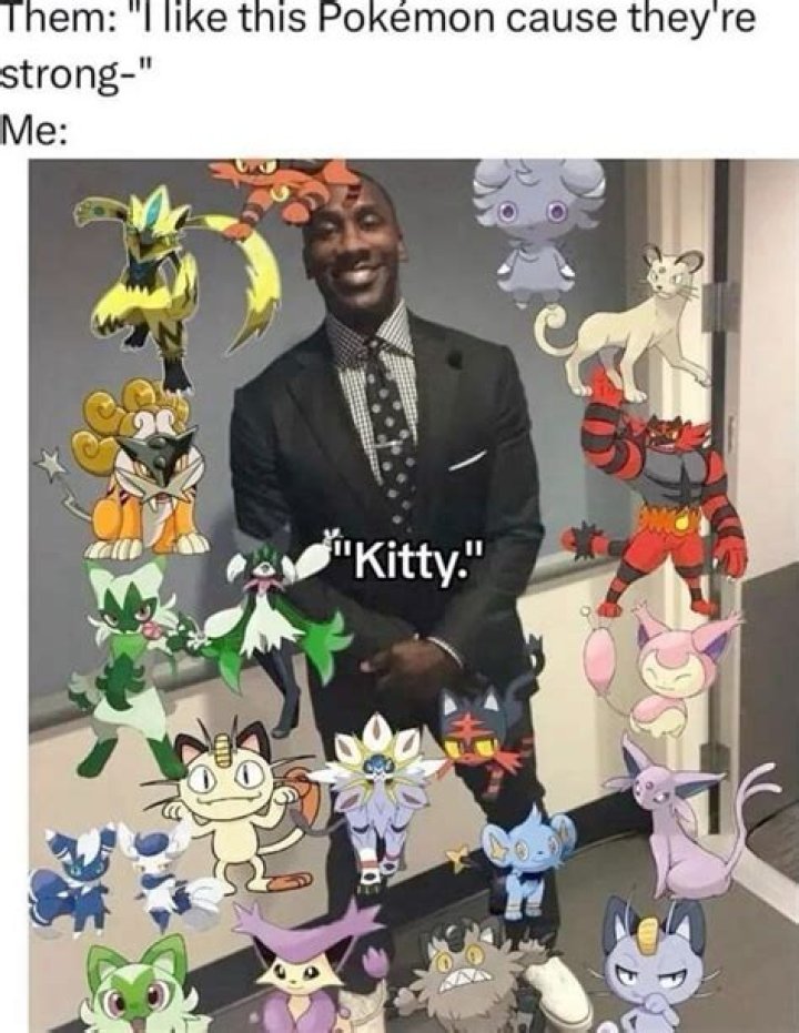 Pokemon memes Pok&eacute;mon Amino
