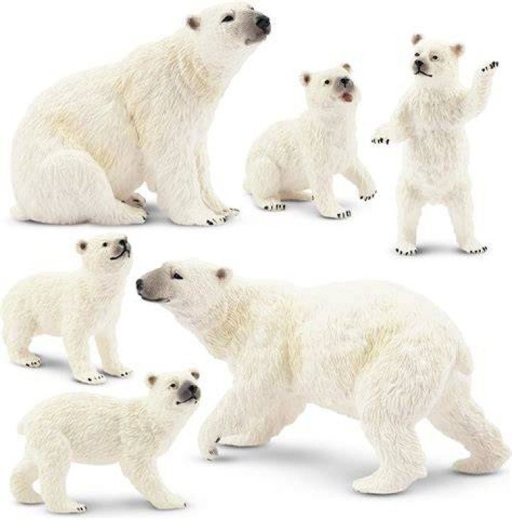 Polar bear set