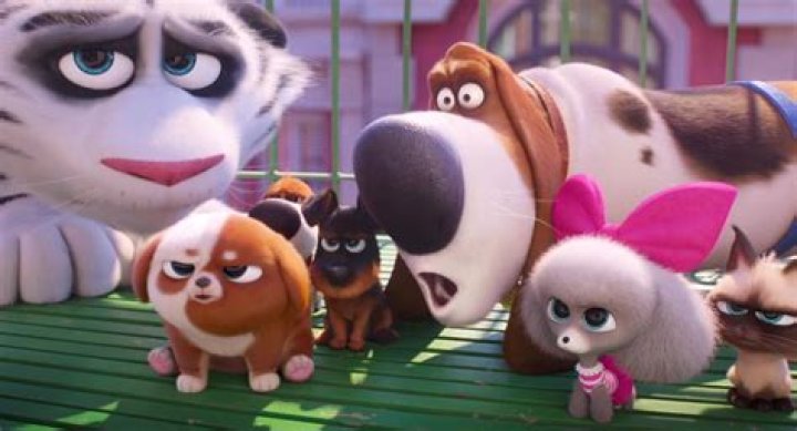 Pops (The Secret Life of Pets) Photo on myCast