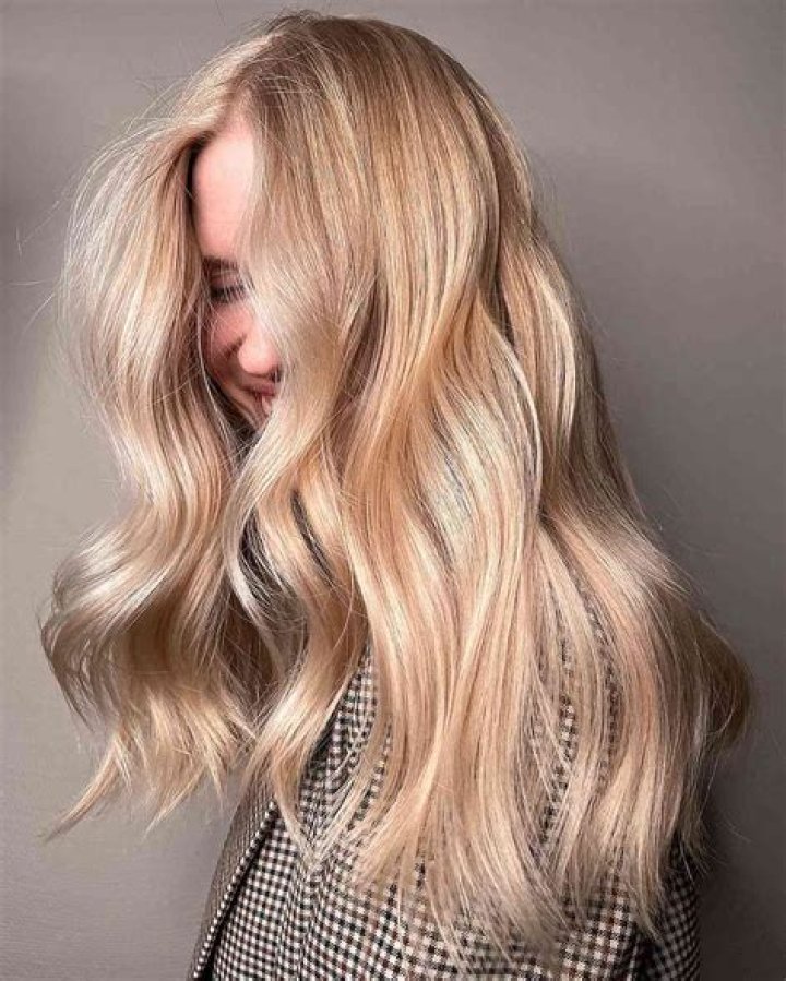 Pretty Blonds: The Allure And Influence Of Golden Hair