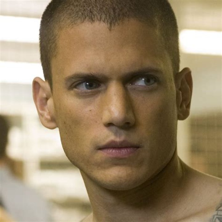 Prison Break star stands by Wentworth Miller as he rules out return