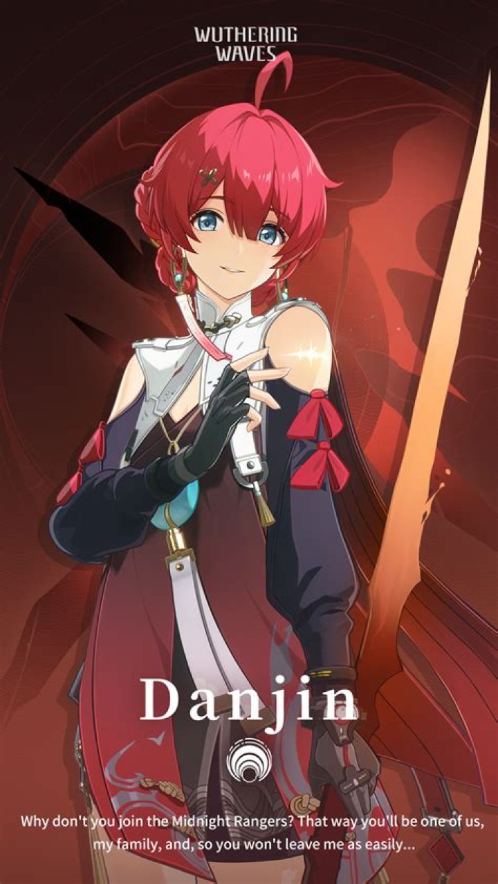 Profile Scarlet Apparition Danjin Wuthering Waves