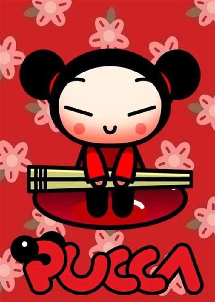 Pucca Fan Casting