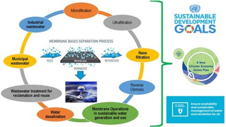 Qiero Aqua: The Refreshing Journey Of Sustainable Water