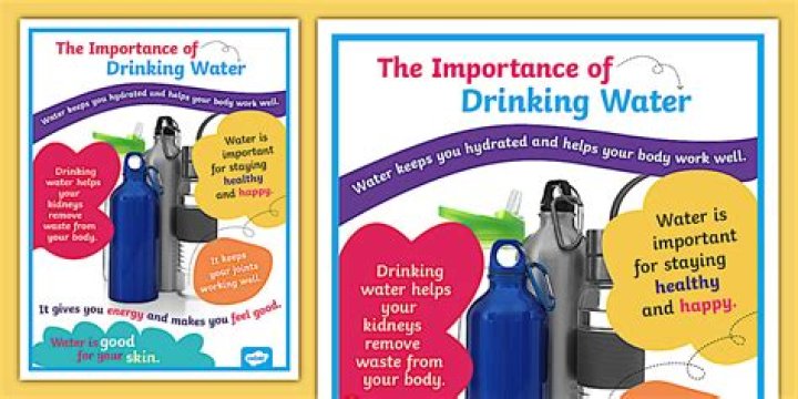 Quiero Agua: The Importance Of Water In Our Lives