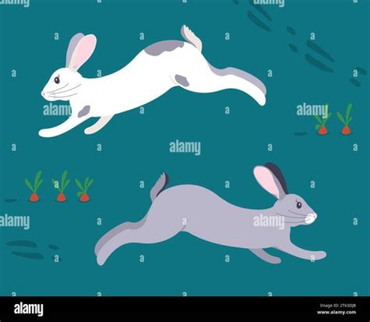 Rabbits running around a farm in Stardew Valley