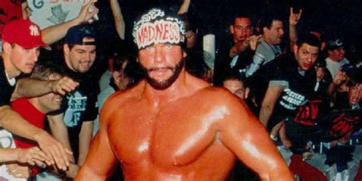 Randy Savage NWO Wolfpac