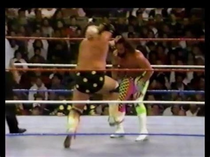 Randy Savage vs. Dusty Rhodes