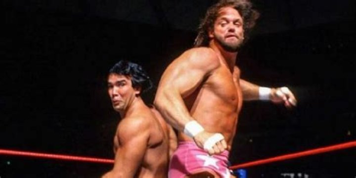 Randy Savage vs Ricky Steamboat WrestleMania 3