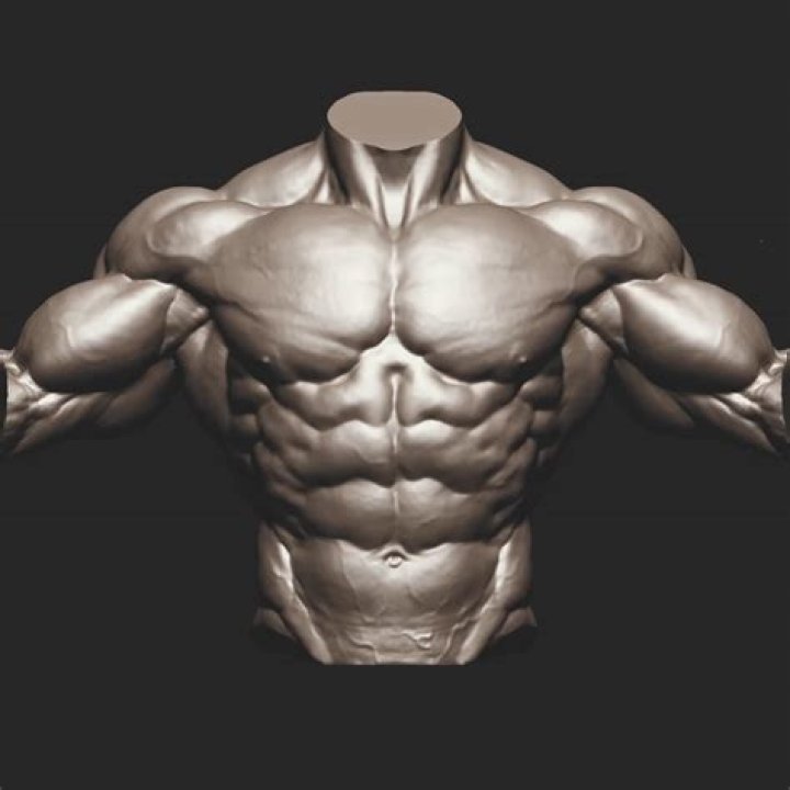 Ranjit Ghosh on LinkedIn anatomy anatomystudy zbrushsculpt zbrush