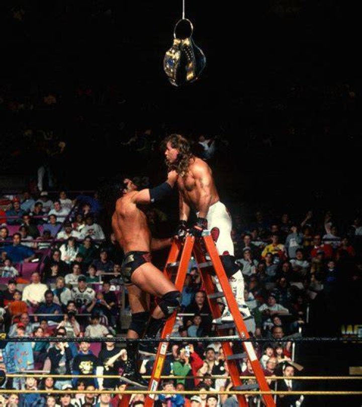 Razor Ramon Vs Shawn Michaels 