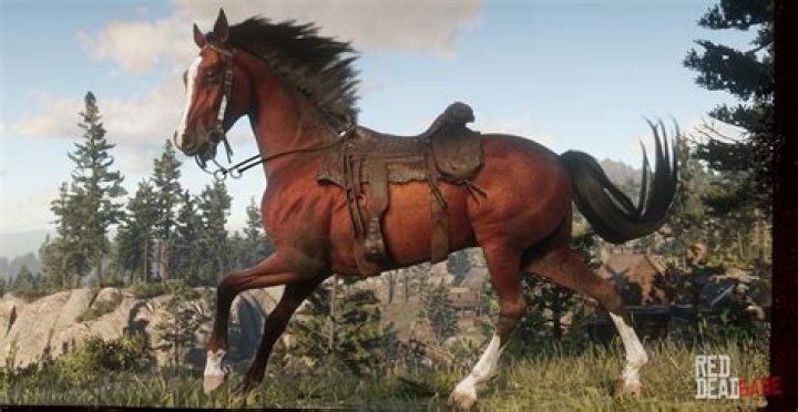 Red Dead Redemption 2 Horse