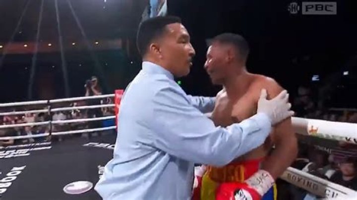 Referee Tony Weeks ripped over stoppage in Rolando RomeroIsmael
