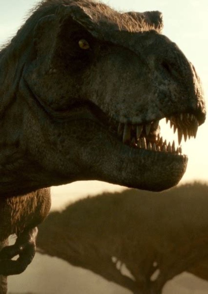 Rexy Fan Casting
