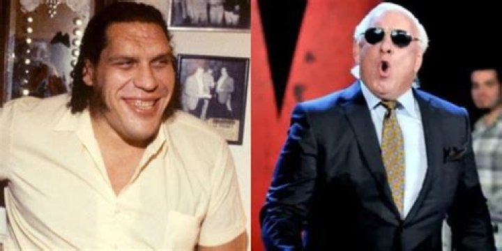 Ric Flair and Andre the giant