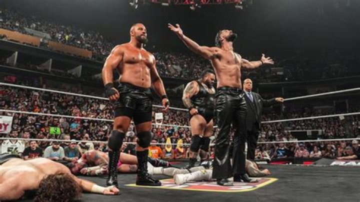 ric flair and seth rollins