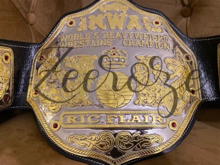 Ric Flair NWA World Heavyweight Champion