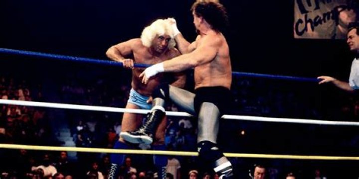 RIC FLAIR VS TERRY FUNK