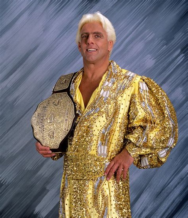 Ric Flair WCW Champion
