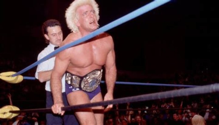 Ric Flair WWE Chmapion