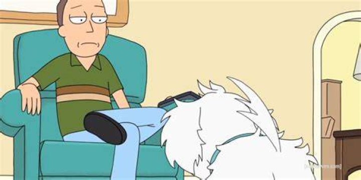 Rick and Morty Jerry Snuffles