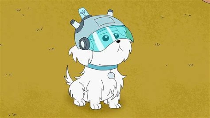 Rick and Morty Lawnmower Dog Script