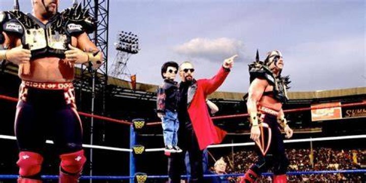 Road Warriors SummerSlam 1992 Cropped