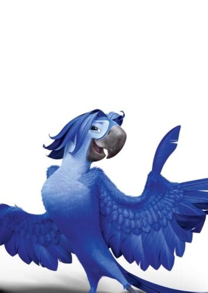 Roberto Fan Casting for Rio 3: Tropical Vacation | myCast