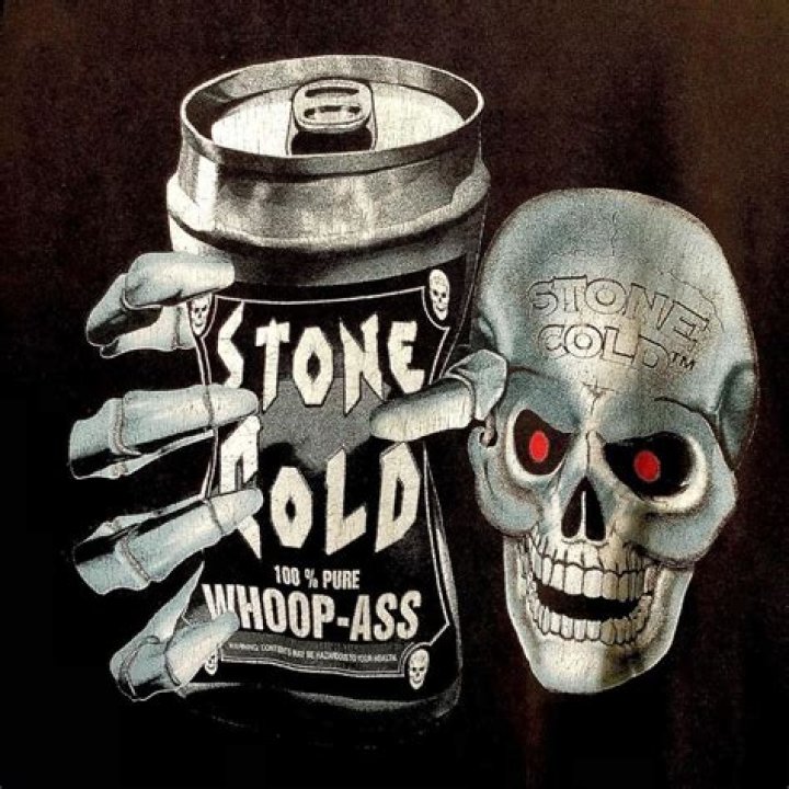 Rock Bottom on Stone Cold at WrestleMania 19