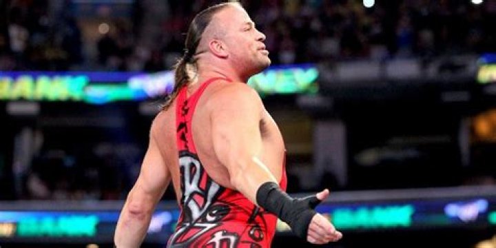 RVD WWE Return Money in the Bank