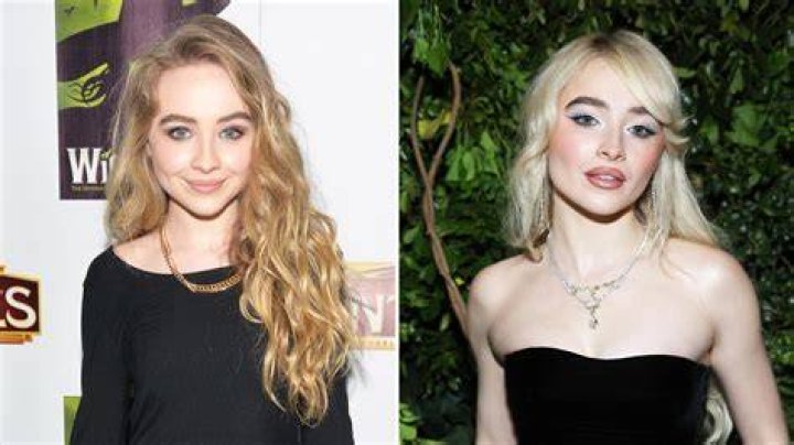 Sabrina Carpenter Plastic Surgery Before And After Photos 2018