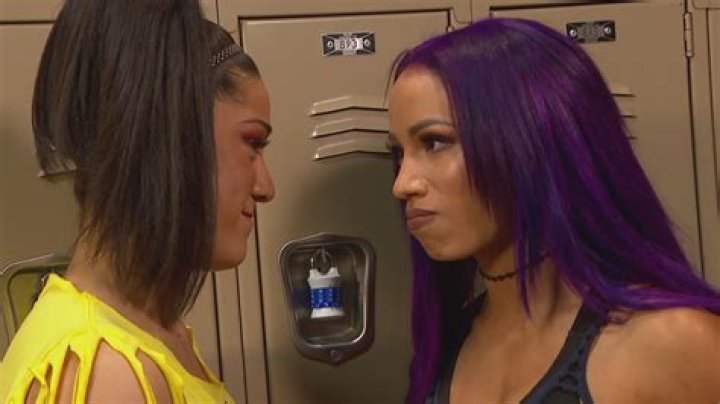 Sasha Banks vs Bayley