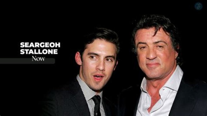 Seargeoh Stallone Bio Early Life, Career, Everything We Know
