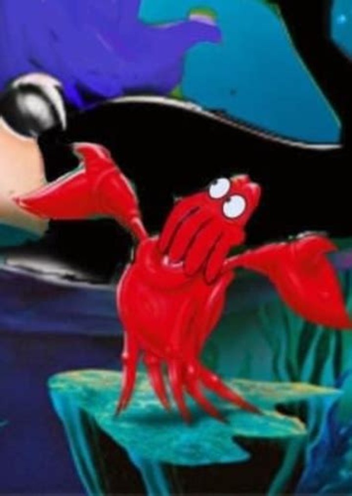 Sebastian/Zoidberg Fan Casting for Futurama presents The Leela Mermaid | myCast