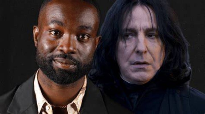 Severus snape Fan Casting for Harry Potter and the order of the Phoenix | myCast