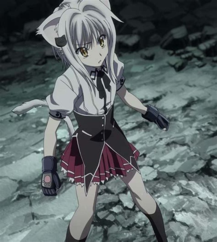 SEXY KONEKO Anime Amino