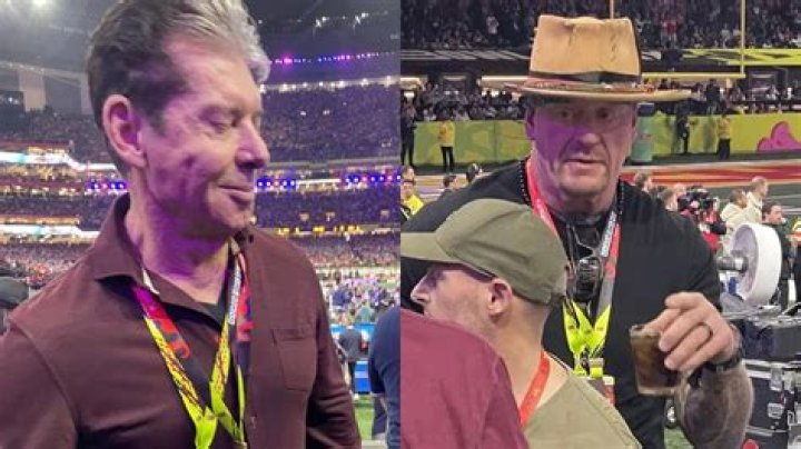 Shane McMahon and The Undertaker