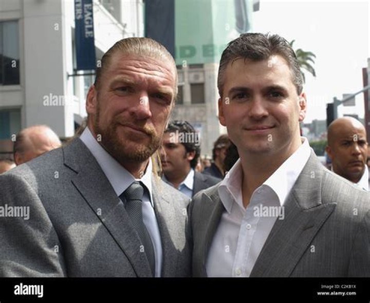 Shane McMahon and Triple H