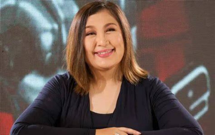 Sharon Cuneta Net worth, Age: Wife, Weight, Bio-Wiki, Kids