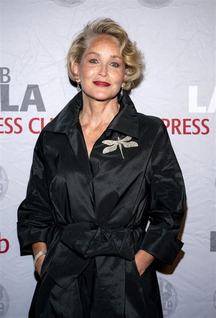 Sharon Stone says she lost custody of son Roan because of 'Basic