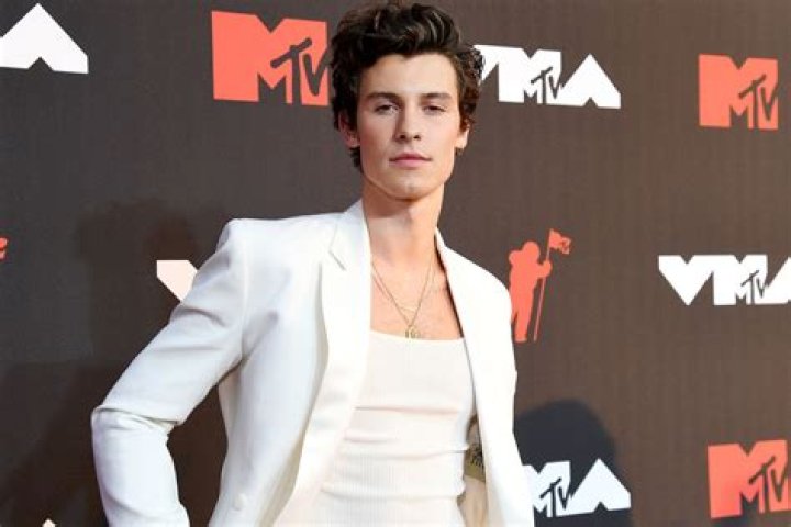 Shawn Mendes Girlfriend A Breakdown of The Singer's Love Life