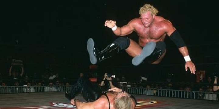 Sid Vicious vs. Kevin Nash