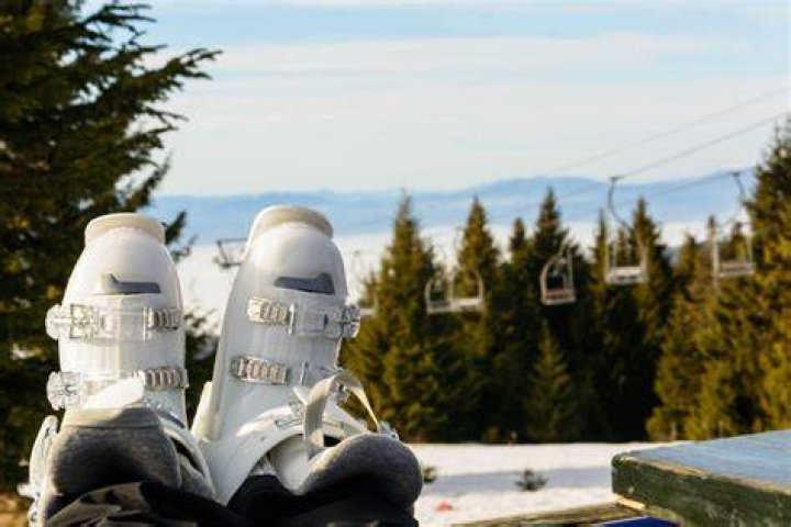 Ski Bri Dreshare