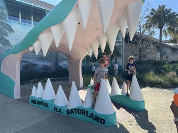 Slater Gator make their entrance Cropped