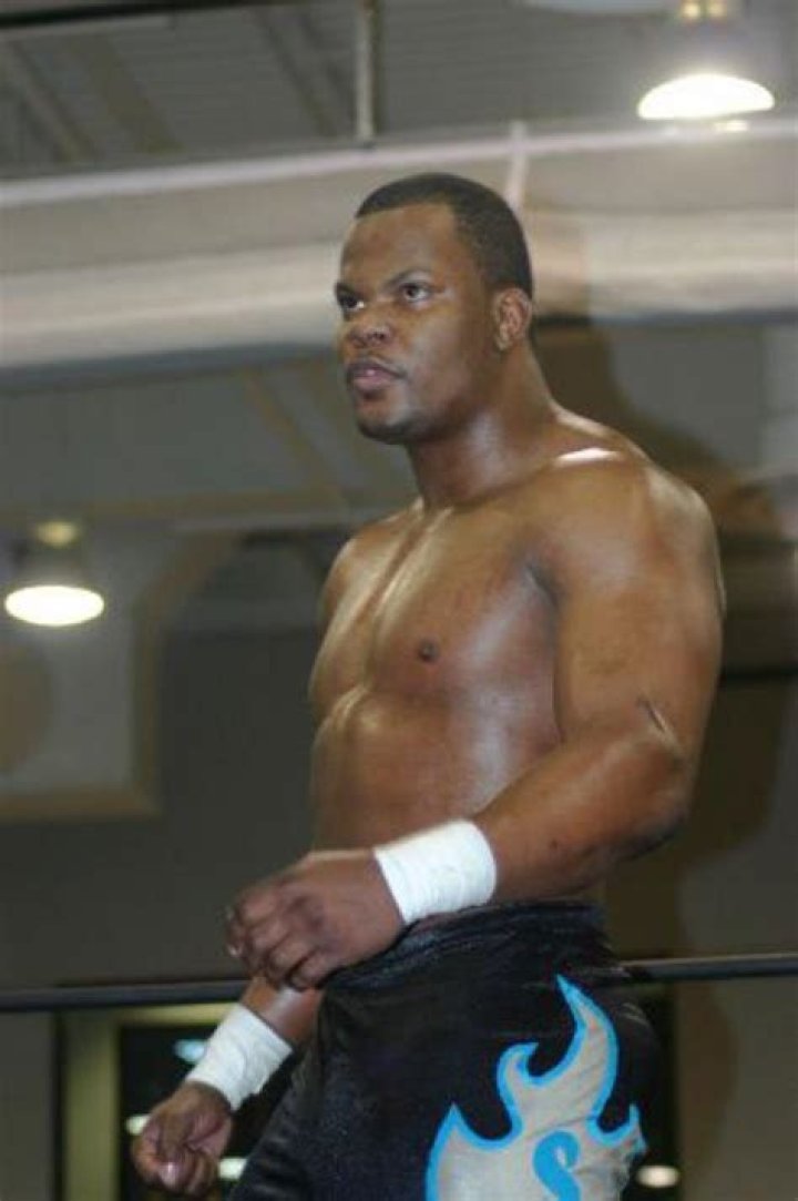 Slyck Wagner Brown