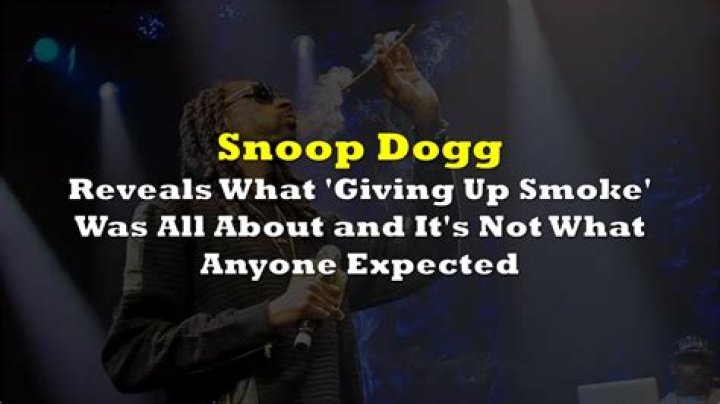 Snoop Dog: A Deep Dive Into His Criminal Background