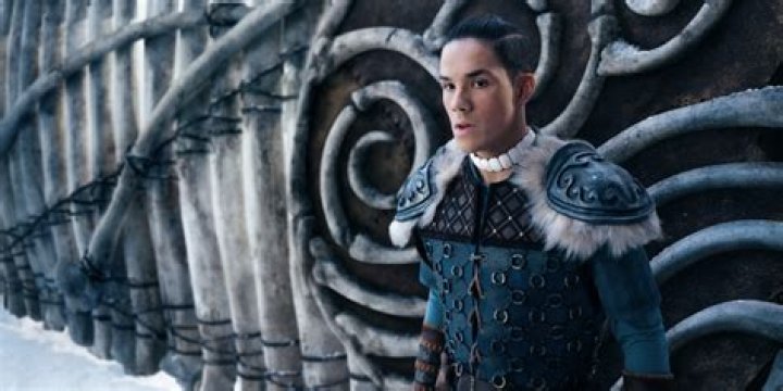 Sokka in Avatar The Last Airbender