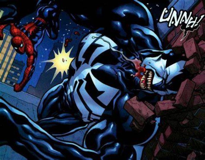 Spider-Man punches Venom (Angelo Fortunato)