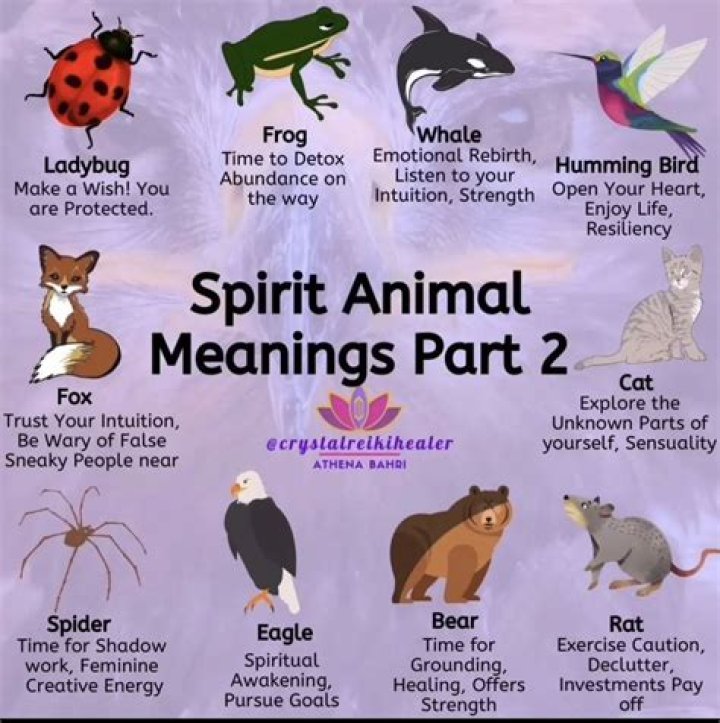 Spirit Meaning YouTube